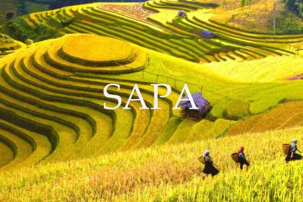 SAPA