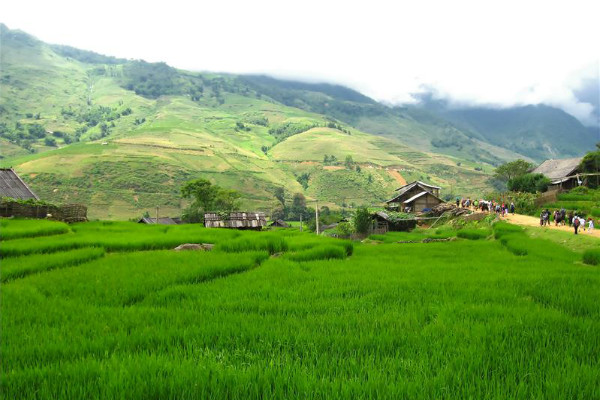 Sapa Trekking Tours