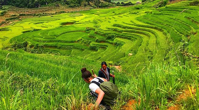 Sapa Trekking 3 Days 2 Nights ( 1 night hotel, 1 night homestay)